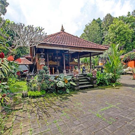 Oyo Homes 91091 Desa Wisata Umejero Munduk Dış mekan fotoğraf