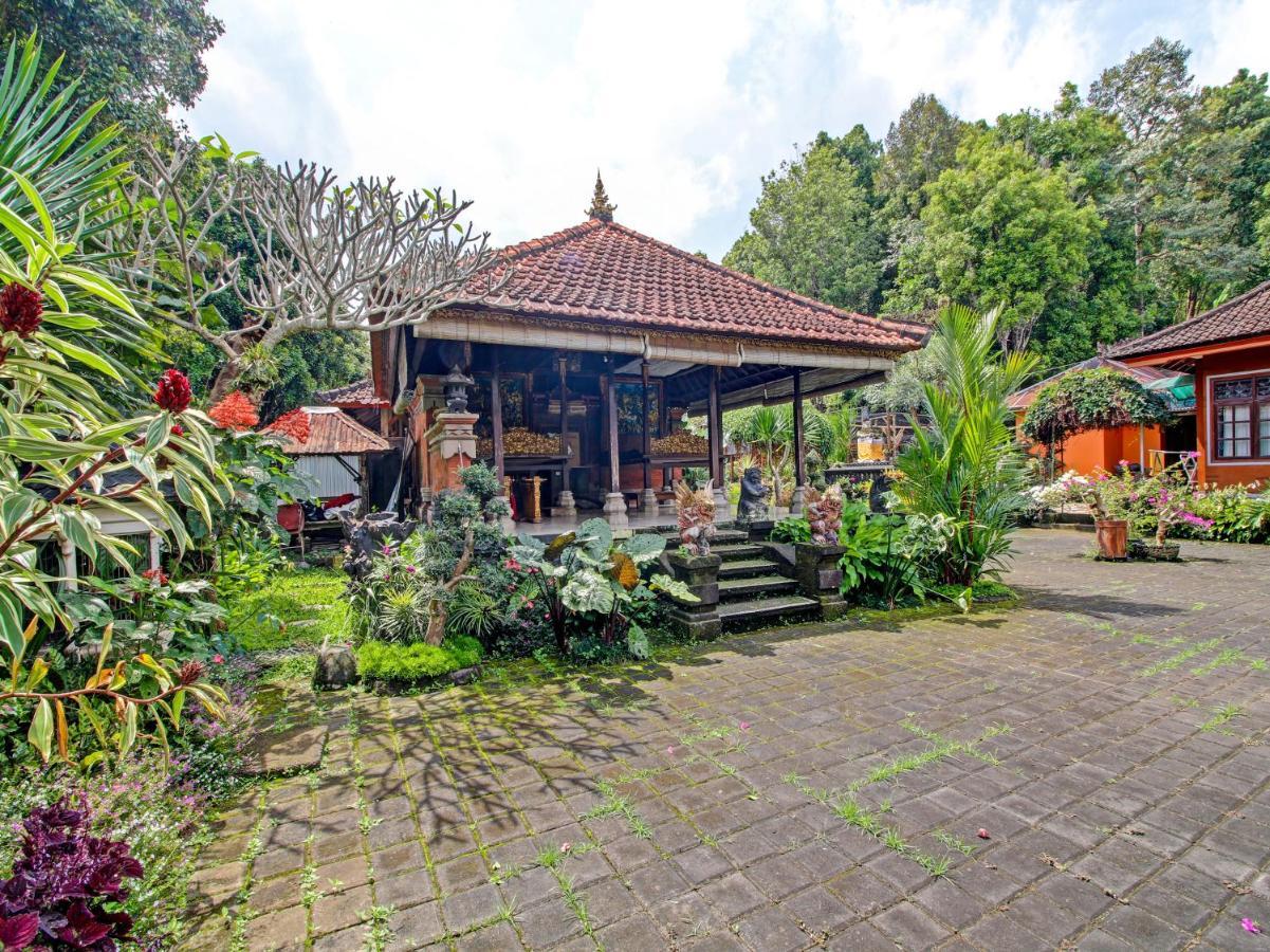 Oyo Homes 91091 Desa Wisata Umejero Munduk Dış mekan fotoğraf