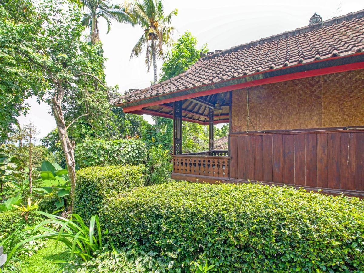 Oyo Homes 91091 Desa Wisata Umejero Munduk Dış mekan fotoğraf