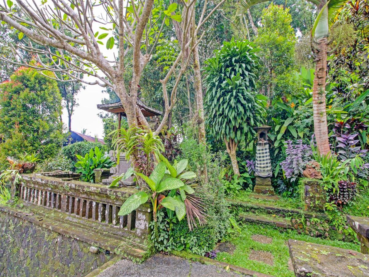Oyo Homes 91091 Desa Wisata Umejero Munduk Dış mekan fotoğraf