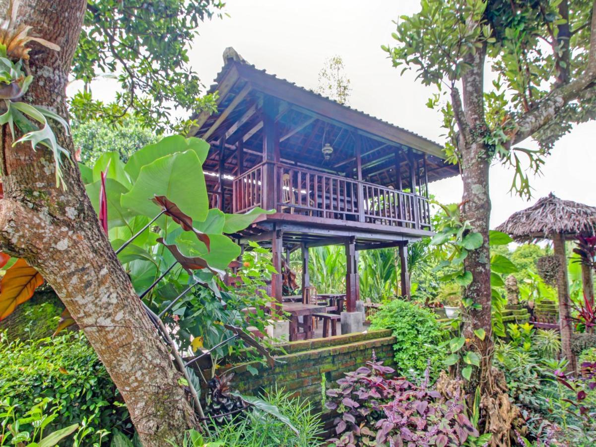 Oyo Homes 91091 Desa Wisata Umejero Munduk Dış mekan fotoğraf
